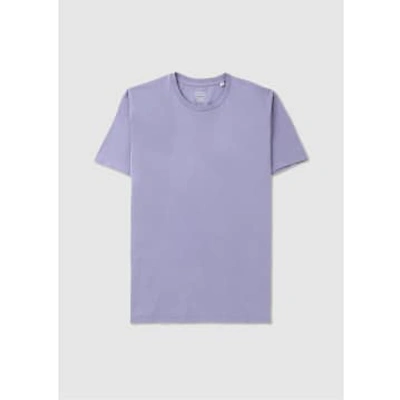 Colorful Standard Mens Classic Organic T-shirt In Purple Jade In Purple