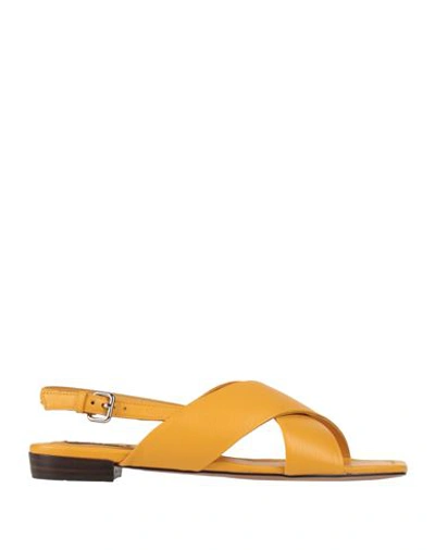 Shop Bibi Lou Woman Sandals Ocher Size 8 Leather In Yellow