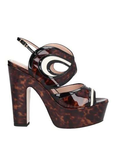 Shop Nicholas Kirkwood Woman Sandals Dark Brown Size 8 Leather