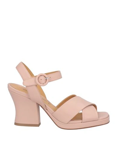 Shop Silvia Rossini Woman Sandals Blush Size 7 Leather In Pink