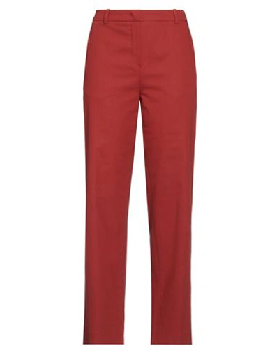 Shop Eleventy Woman Pants Rust Size 8 Cotton, Elastane In Red