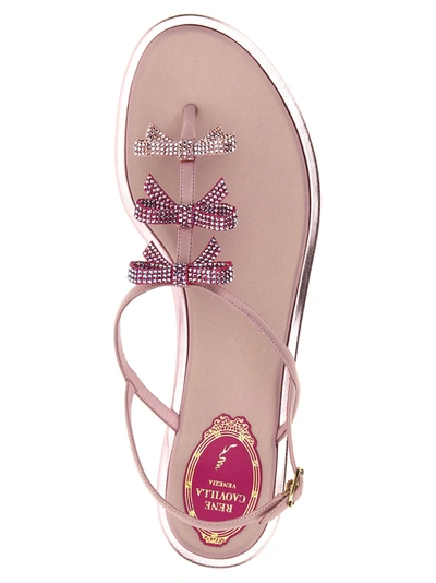 Shop René Caovilla Diana Sandals Pink