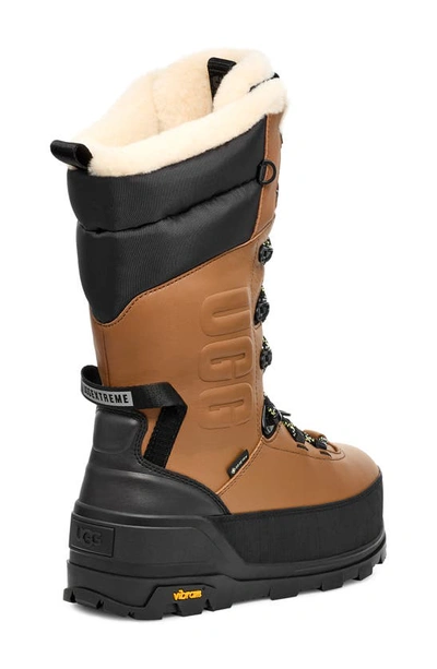 Ugg Shasta Gore-tex Tall Boots In Chestnut