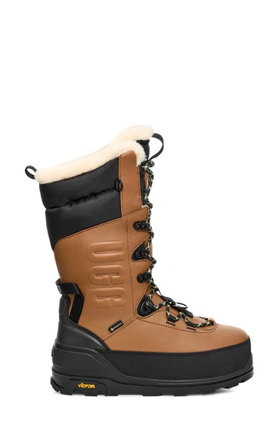 Ugg Shasta Gore-tex Tall Boots In Chestnut