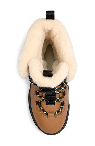 UGG UGG(R) SHASTA GORE-TEX® WATERPROOF BOOT 