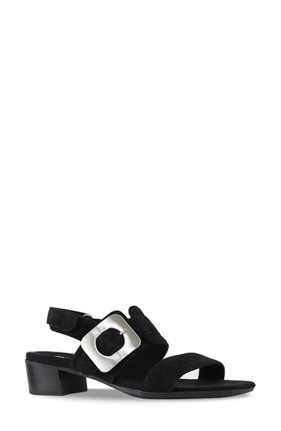 Shop Munro Ashlin Slingback Sandal In Black Suede