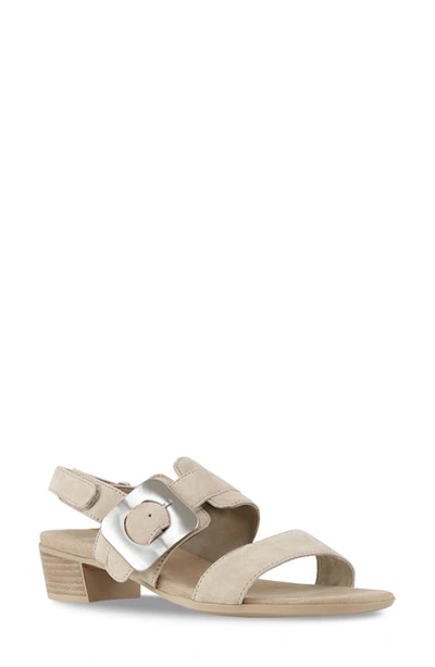 Shop Munro Ashlin Slingback Sandal In Beige Suede