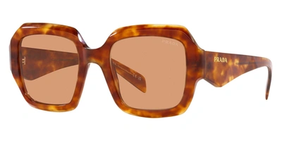 Shop Prada Women's 54mm Light Tortoise Sunglasses In Multi