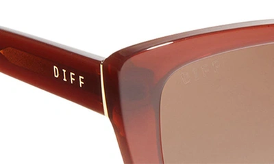 Shop Diff 58mm Rae Cat Eye Sunglasses In Nutshell