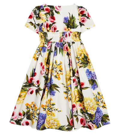 Shop Dolce & Gabbana Floral Printed Cotton Poplin Dress In Multicoloured