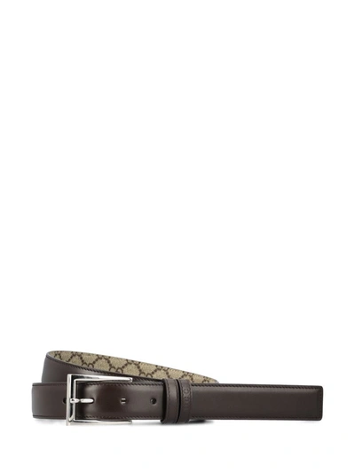 Shop Gucci Belts In Cocoa/beige Ebony