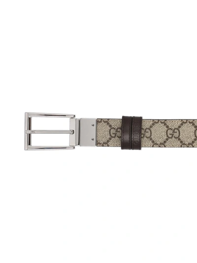 Shop Gucci Belts In Cocoa/beige Ebony