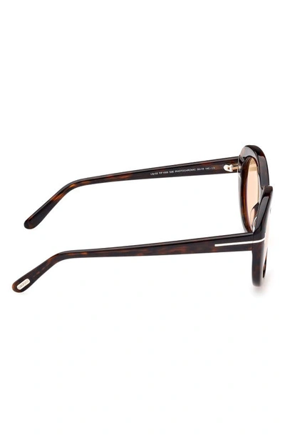 Shop Tom Ford Lily-02 55mm Tinted Cat Eye Sunglasses In Dark Havana / Brown