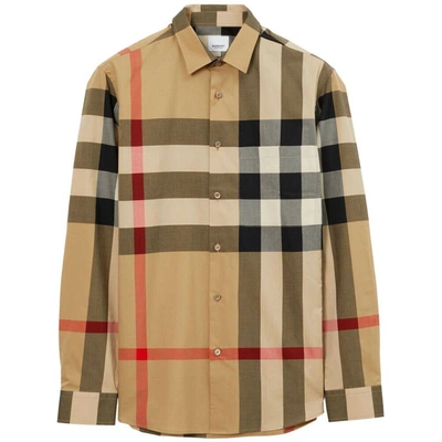 Shop Burberry Shirts In Neutrals/brown
