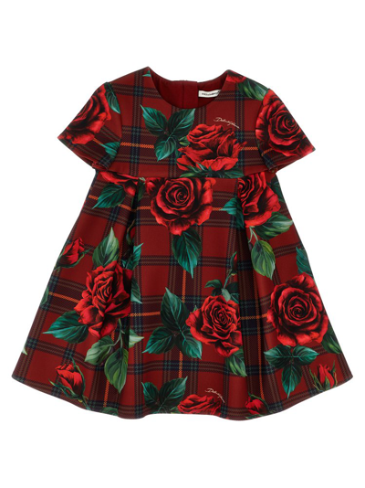Shop Dolce & Gabbana Kids Rose Printed Short In Multi