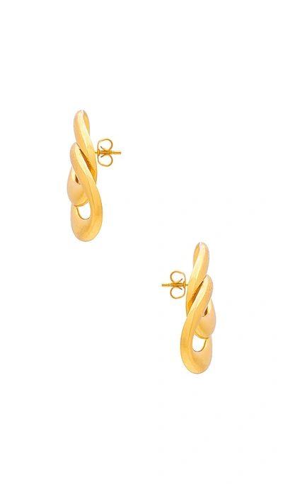 Shop Aureum Blair Earrings In Gold Plated Brass