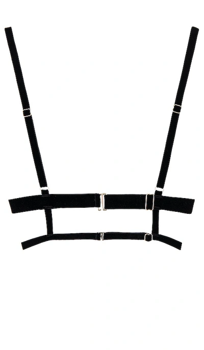 Bluebella Simone Open Bra In Black & Gold