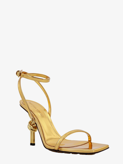 Shop Bottega Veneta Woman Knot Woman Gold Sandals
