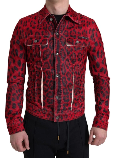 Shop Dolce & Gabbana Red Leopard Cotton Collared Denim Jacket