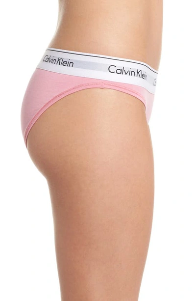 Shop Calvin Klein Modern Cotton Bikini In Ftw Mauve Mist