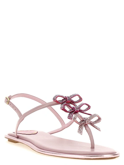 Shop René Caovilla 'diana' Sandals In Pink