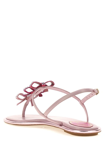 Shop René Caovilla 'diana' Sandals In Pink