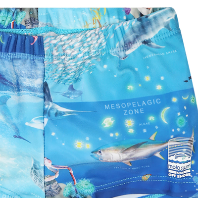 Shop Molo Light Blue Swimsuit For Baby Boy With Marine Animals