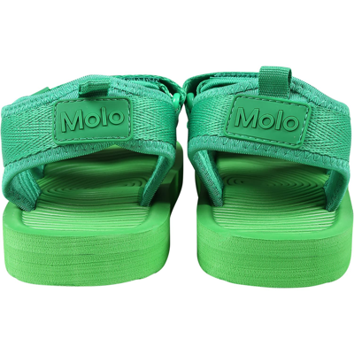 Shop Molo Green Sandals For Babykids With Logo