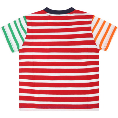Shop Ralph Lauren Blue T-shirt For Baby Boy With Pony In Multicolor