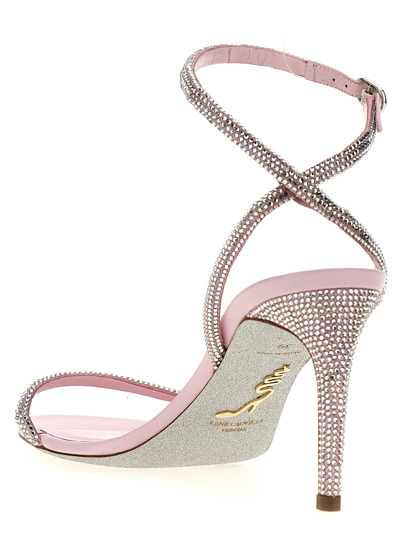 Shop René Caovilla Ellabrita Sandals In Pink