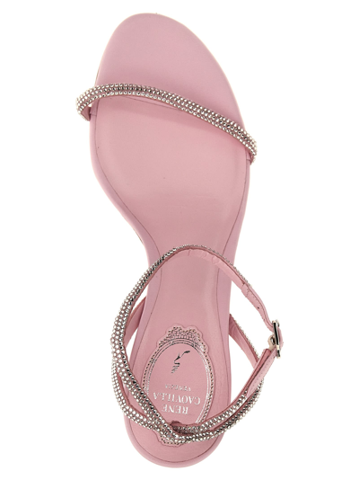 Shop René Caovilla Ellabrita Sandals In Pink