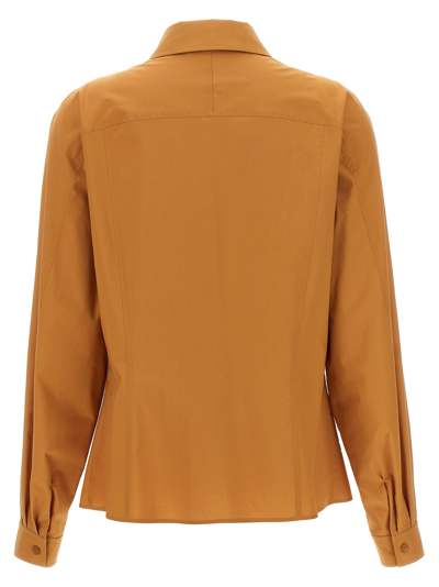 Shop Alberta Ferretti Cotton Shirt In Brown