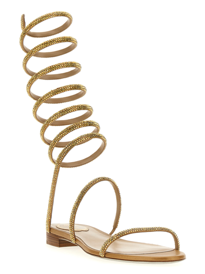 Shop René Caovilla Supercleo Sandals In Gold