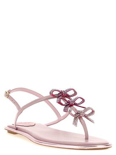 Shop René Caovilla Diana Sandals In Pink