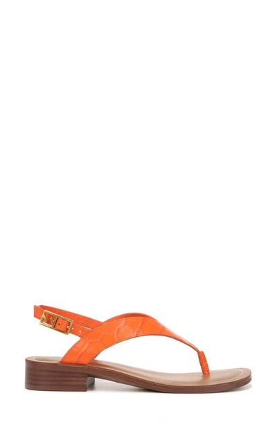 Shop Sarto By Franco Sarto Iris Slingback Sandal In Orange