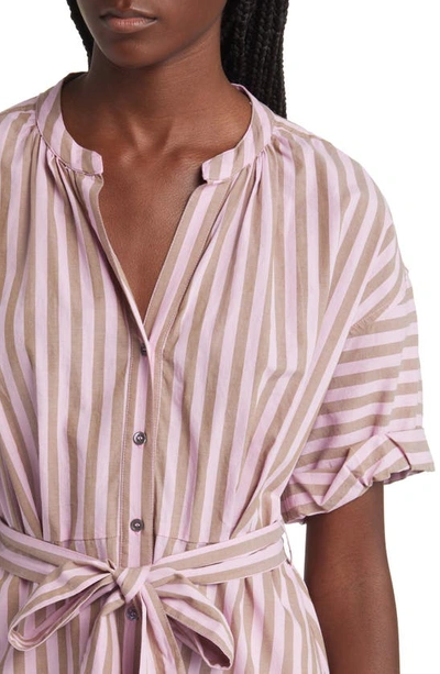 Shop Xirena Liora Stripe Tie Belt Cotton Shirtdress In Fig Stripe