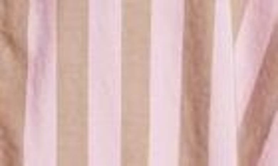 Shop Xirena Liora Stripe Tie Belt Cotton Shirtdress In Fig Stripe