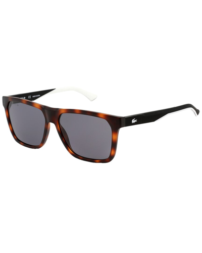 Shop Lacoste Men's L972s 57mm Sunglasses In Brown