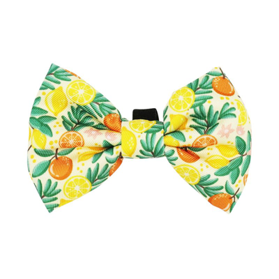 Shop Sassy Woof Cat Bowtie In Yellow