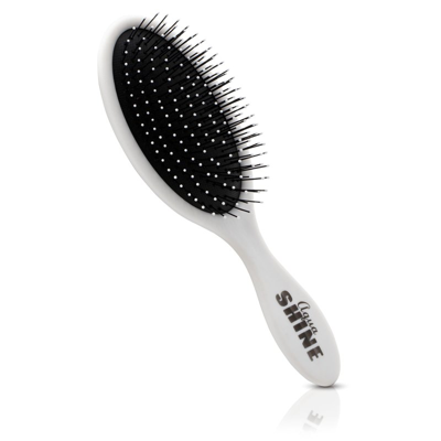 Shop Iso Beauty Aquashine Wet & Dry Soft-touch Paddle Hair Brush In White