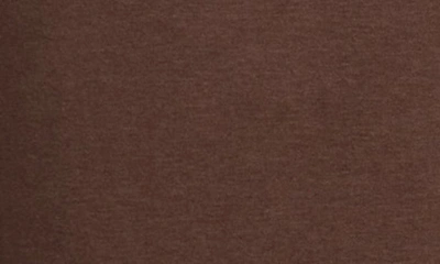 Stance Shelter Hoodie In Dark Brown