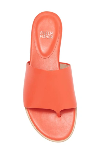 Shop Eileen Fisher Edge Slide Sandal In Red Poppy