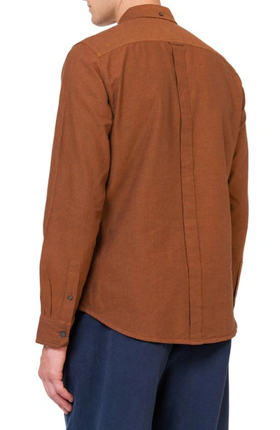Shop Ben Sherman Signature Organic Cotton Oxford Button-down Shirt In Burnt Orange