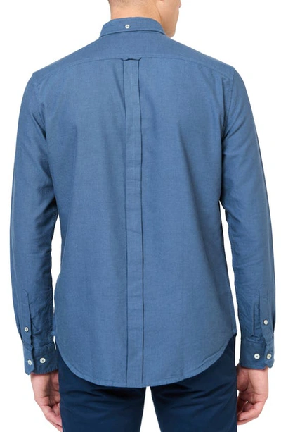 Ben Sherman Signature Organic Cotton Button-down Oxford Shirt In Riviera Blue
