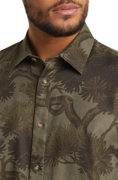 Shop Ted Baker Goxhill Regular Fit Tree Print Button-up Shirt In Khaki