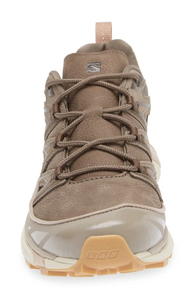 Shop Salomon Gender Inclusive Xt-6 Expanse Sneaker In Bungee Cord/ Wren/ Almond Milk