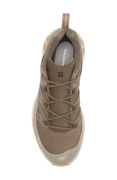Shop Salomon Gender Inclusive Xt-6 Expanse Sneaker In Bungee Cord/ Wren/ Almond Milk