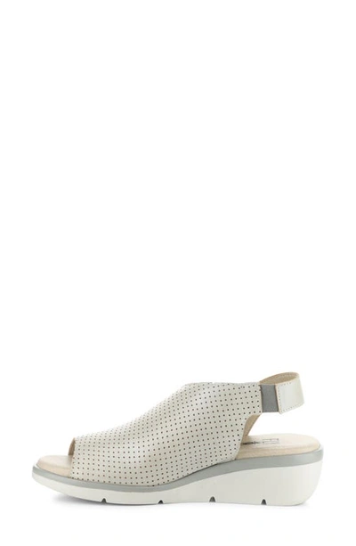 Fly London Nisi Platform Wedge Sandal In Silver Borgogna