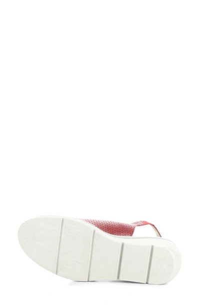 Fly London Nisi Platform Wedge Sandal In Lipstick Red Mou