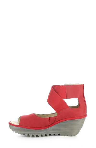 Fly London Yefi Platform Wedge Sandal In Lipstick Red Cup